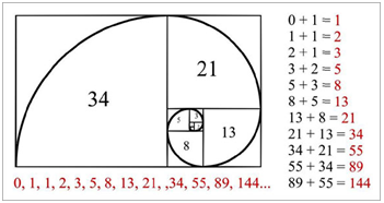 Fibonacci Series - A Detailed Guide on Fibonacci Retracement Level