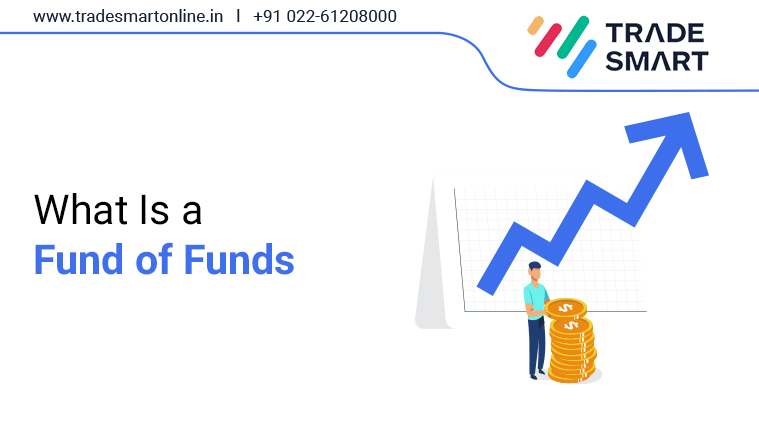 What is a Fund Of Funds