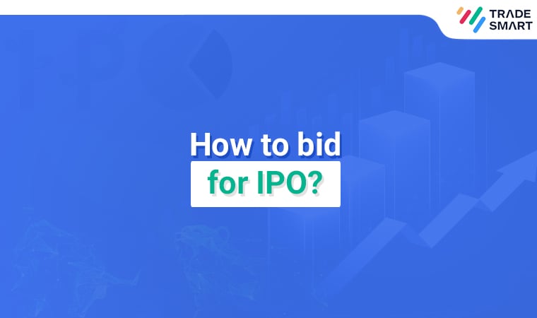 How to Bid for ipo