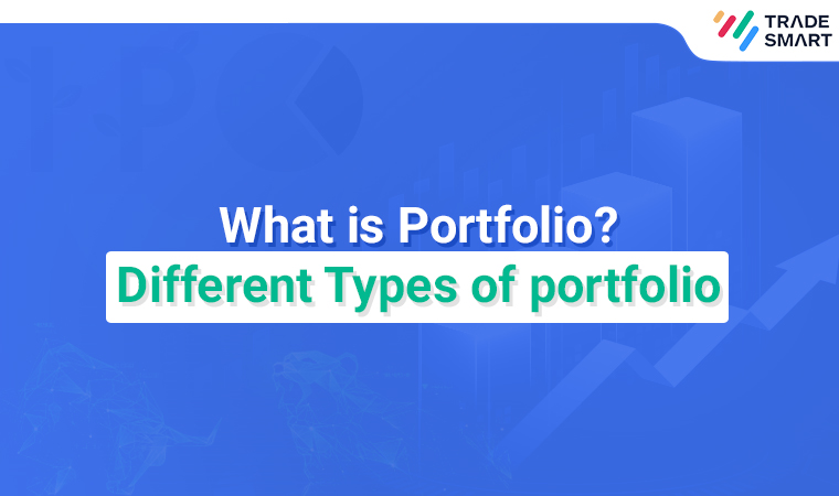 What is Portfolio Different Types of portfolio