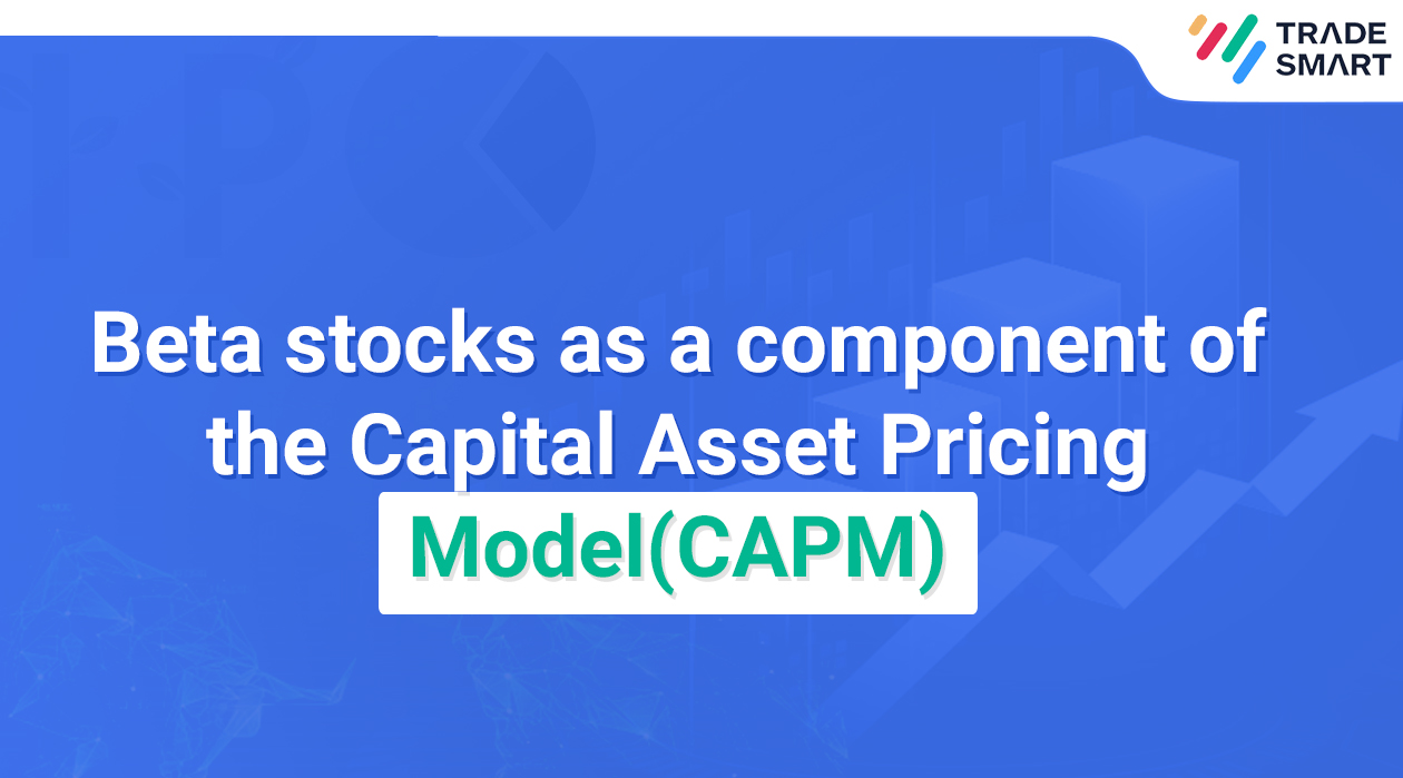 Beta stocks as a component of the Capital Asset Pricing Model