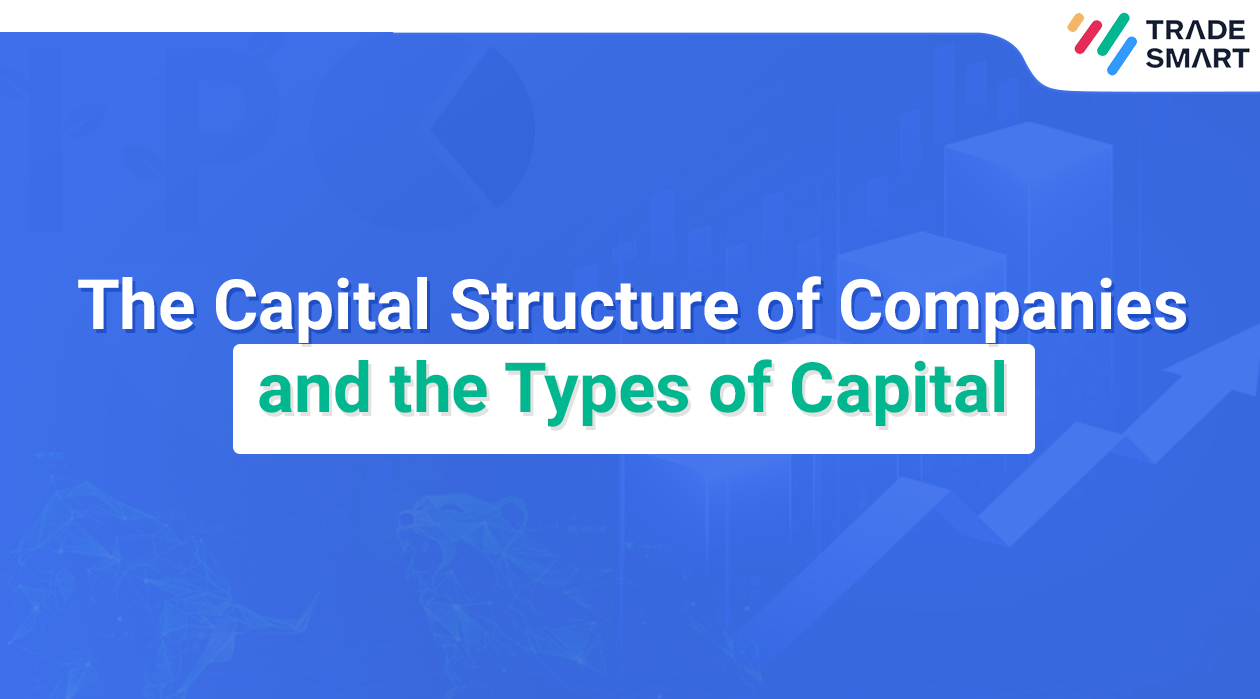 The Capital Structure of Companies and the Types of Capital