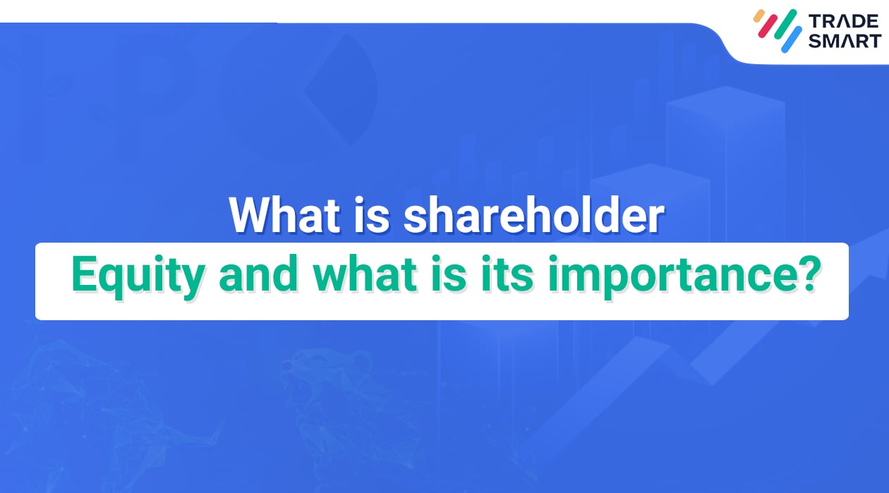 What is shareholder Equity and what is its importance