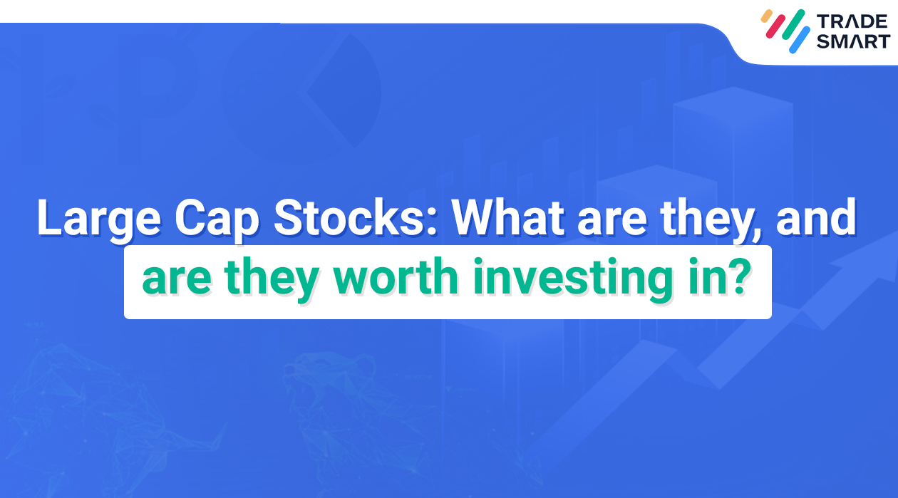 Large Cap Stocks: What are they, and are they worth investing in?